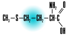 dl-methionine, dl-�������
