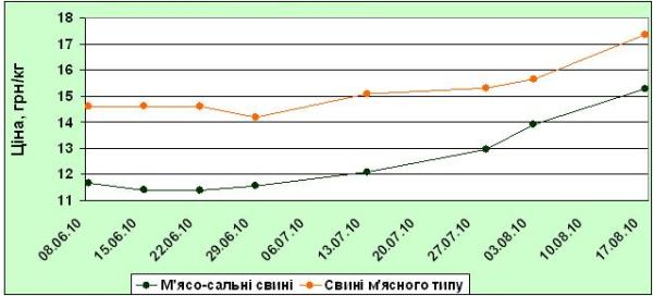 ֳ�� �� ������ 